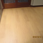 IMG_0526