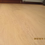 IMG_0527